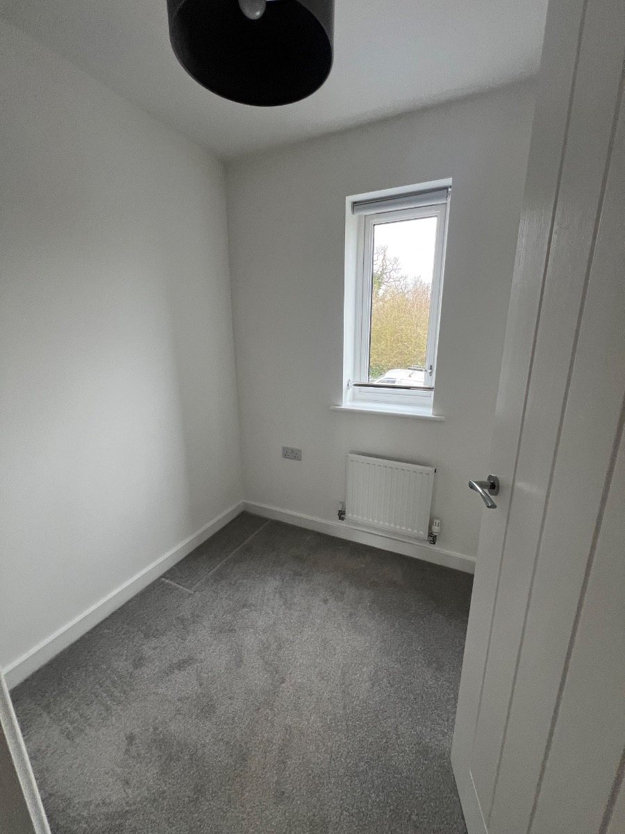 Painter and Decorator: Image 5